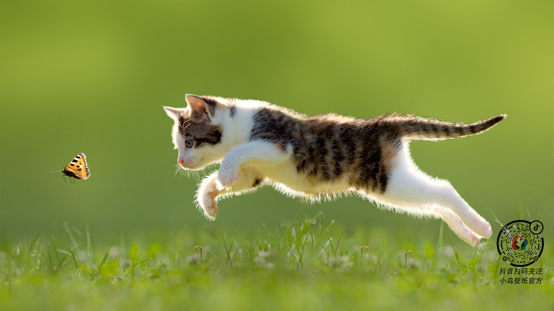 九游官网下载电脑版-夺冠的“秘密武器”：不可或缺的核心球员